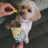 Beco Dog Treats Peanut with Coconut, Turmeric & Parsley